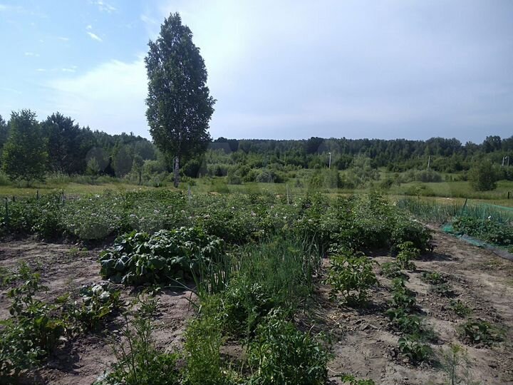 Дом 35 м² на участке 25 сот.