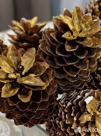 Шишки еловые. Новогодний декор