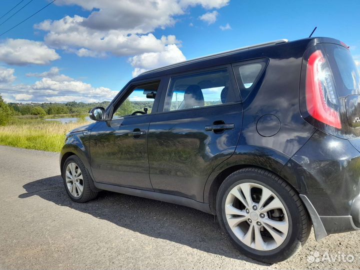 Перевозка домашних животных