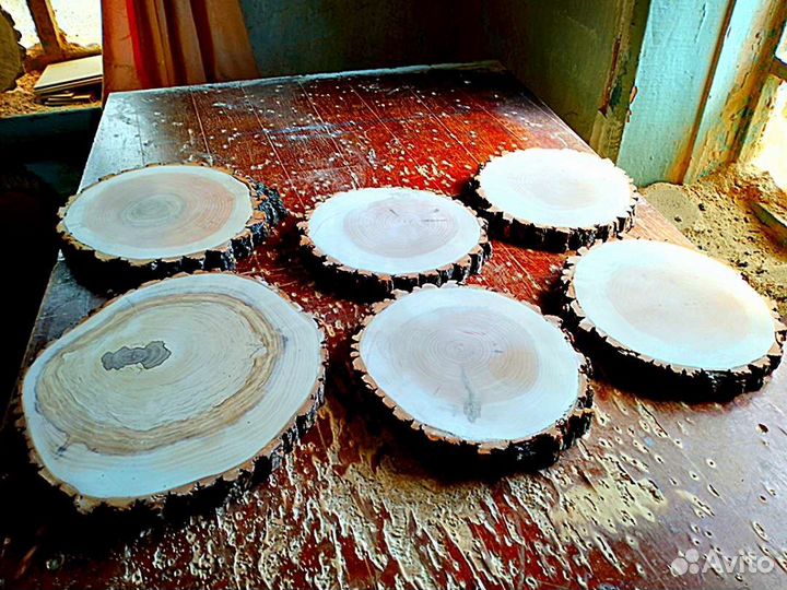 Спил дерева