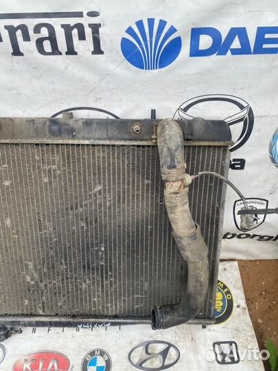 Радиатор основной Nissan Maxima (A33) 2.0 2004