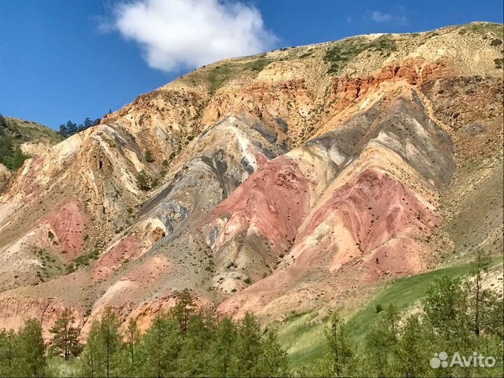 Экскурсии по Алтаю, трансфер