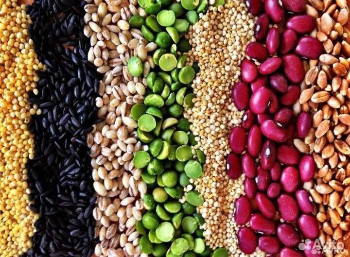 Набор природных материалов для поделок