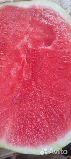 Арбузы