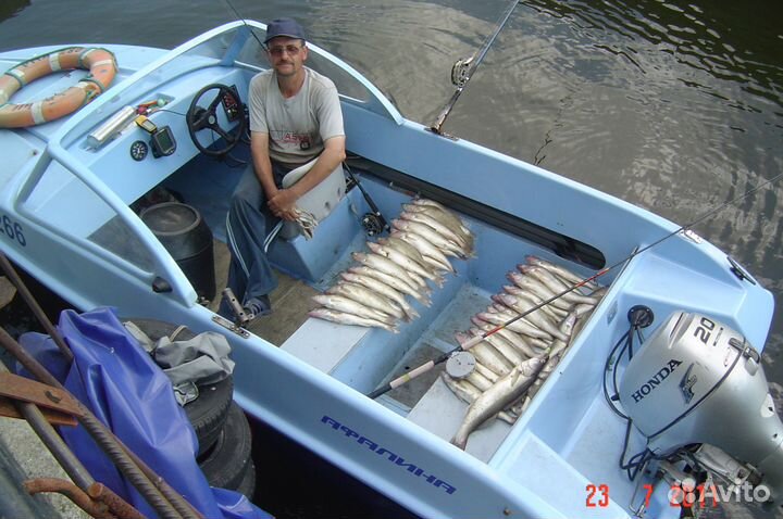 Моторная лодка Афалина-460