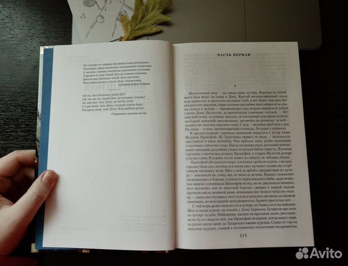 Тихий дон Михаил Шолохов