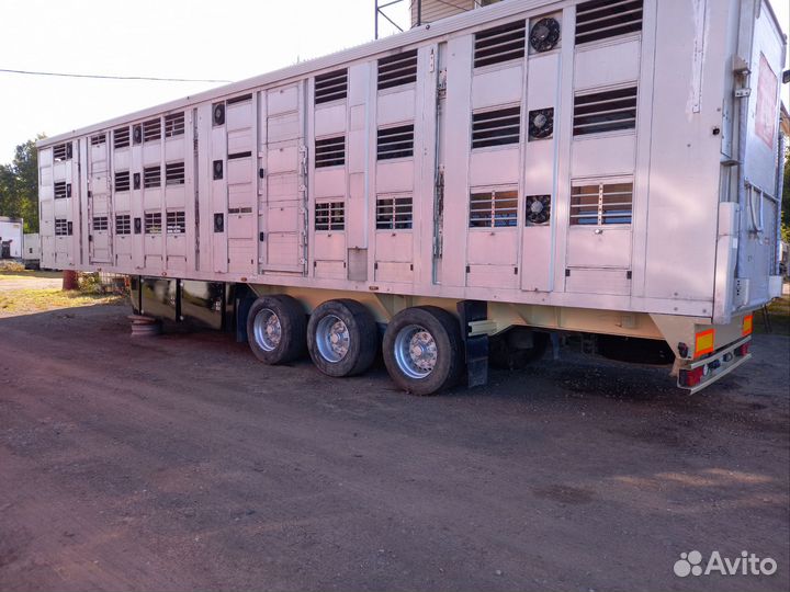 Полуприцеп для перевозки скота Балтспецмаш Скотовоз, 2009