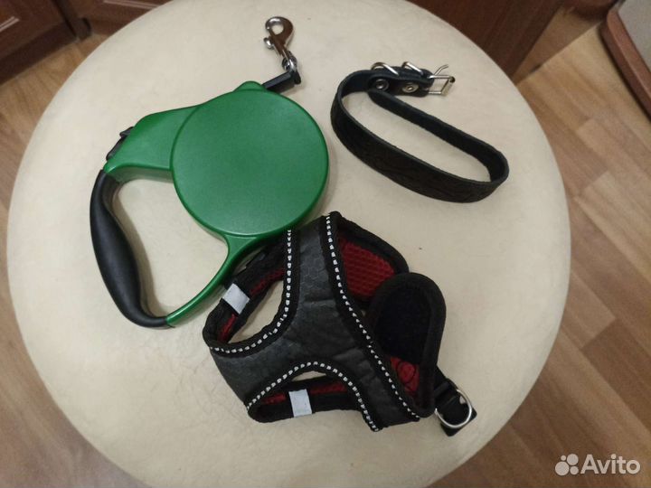 Вещи для маленьких собак