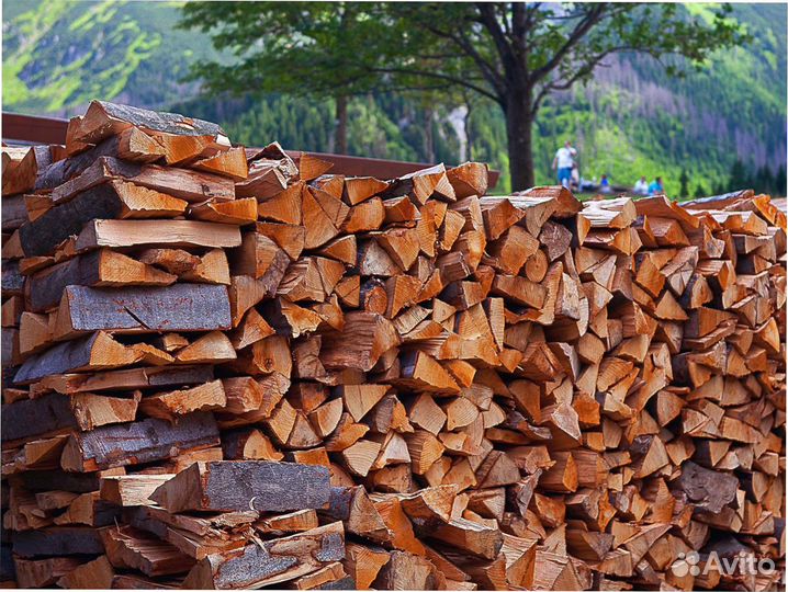 Дрова березовые колотые