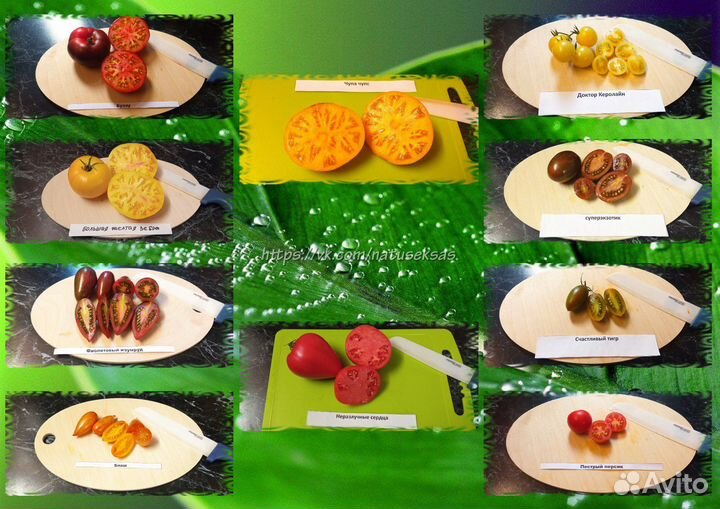 Набор семян помидоров для отличного урожая