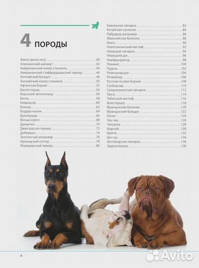 Собаки. Подарочная иллюстрированная энциклопедия Ш