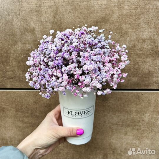 Гипсофила букет в стаканчике