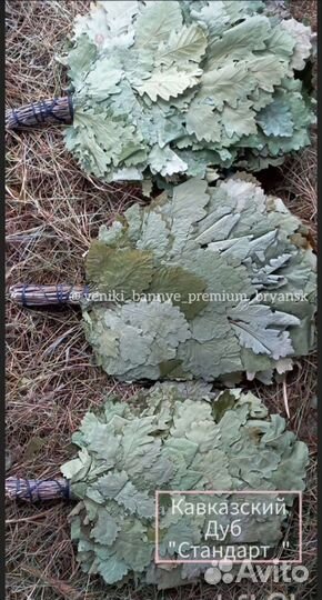 Веники для бани