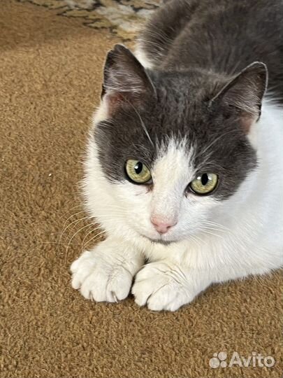 Марфушечка-душечка в поисках семьи