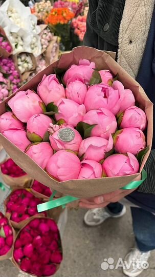 Живые цветы оптом