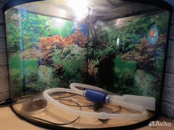 Аквариум