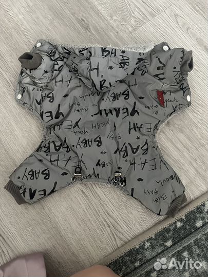 Одежда для собак мелких пород