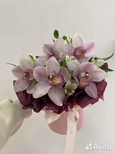 Орхидеи в коробке