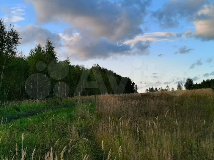 Участок 4 га (СНТ, ДНП)