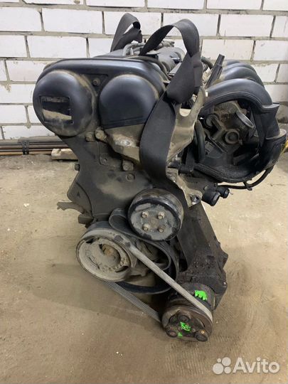 Мотор на ford focus 2 1.6 hwdb