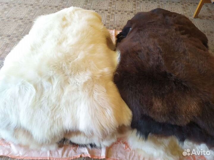 Овечья шкура