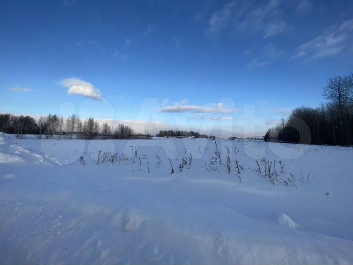 Участок 7,5 сот. (СНТ, ДНП)