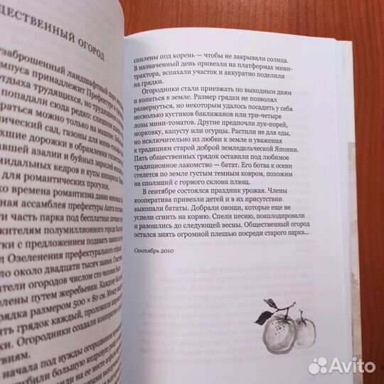 Александр Долин. Сутра гор и вод. 336с 2014