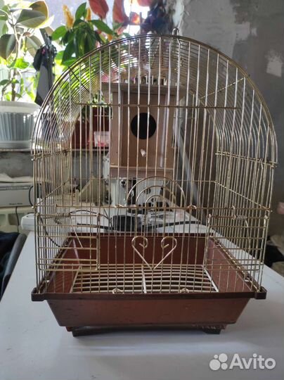 Клетка для птиц