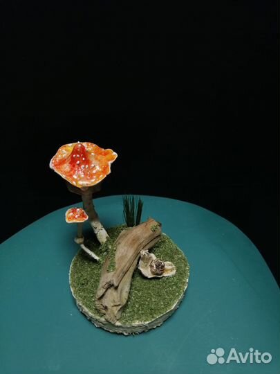 Улитка с мухомором