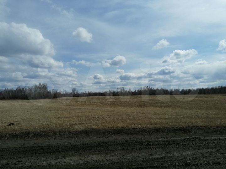 Участок 68 га (СНТ, ДНП)