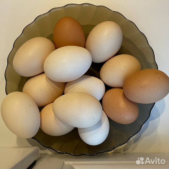 Деревенские домашние яйца