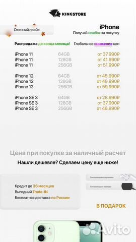 Kingstore - франшиза техники Apple в России