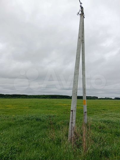 Участок 2,5 га (СНТ, ДНП)