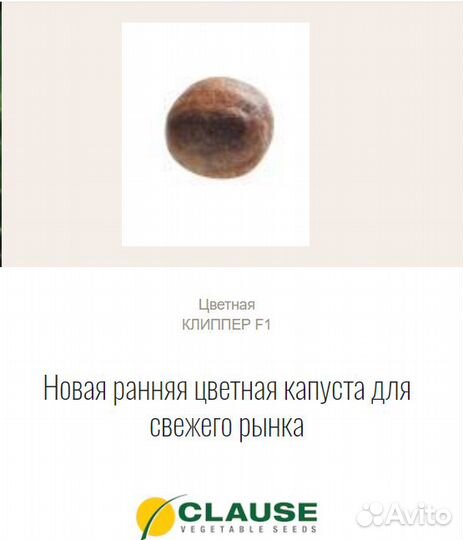Семена Капуста цветная Клиппер F1