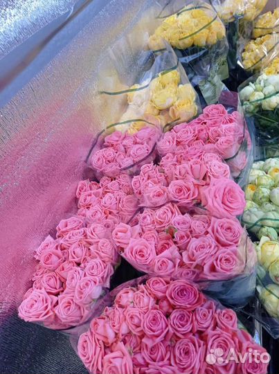 Кустовые розы