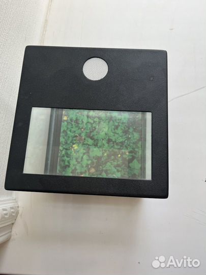 Террариум для рептилий