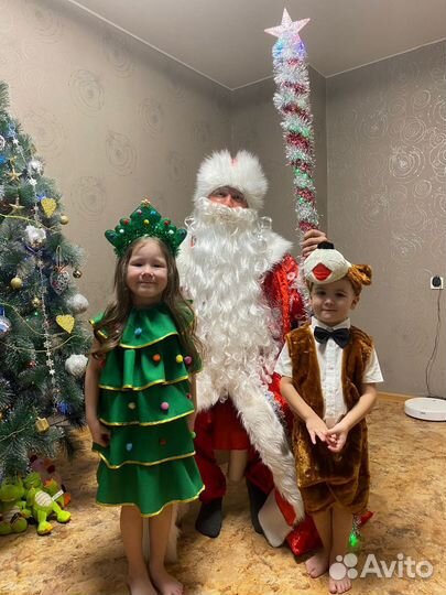 Дед Мороз и Снегурочка VIP