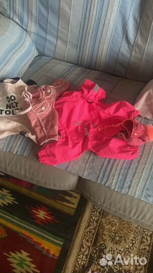 Вещи для собачки Puppy angei