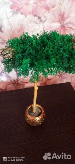 Стабилизированный мох дерево