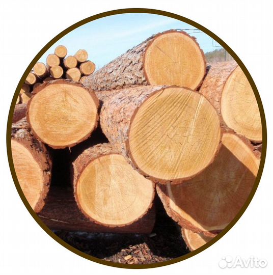 Разнорабочий на пилораму Жилье Еженед оплата