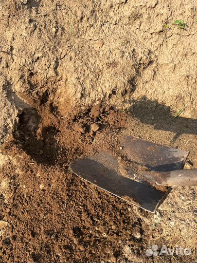 Земля плодородная