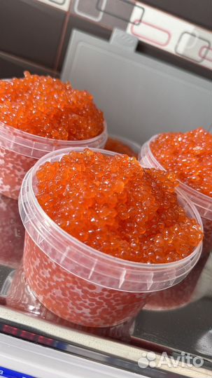 Свежая красная Икра Горбуши 2023