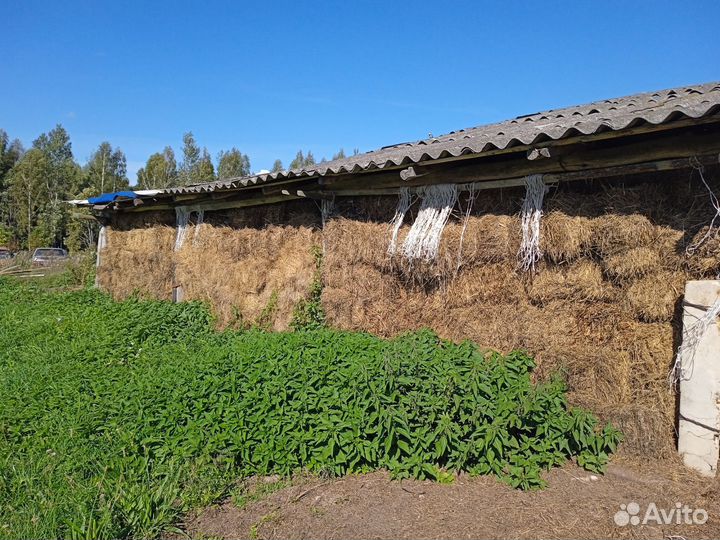 Сено в тюках