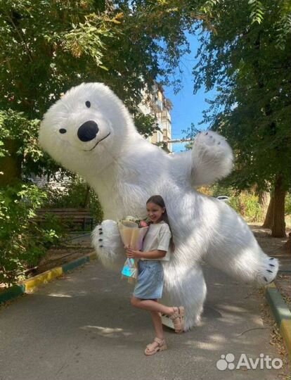 Белый мишка поздравление