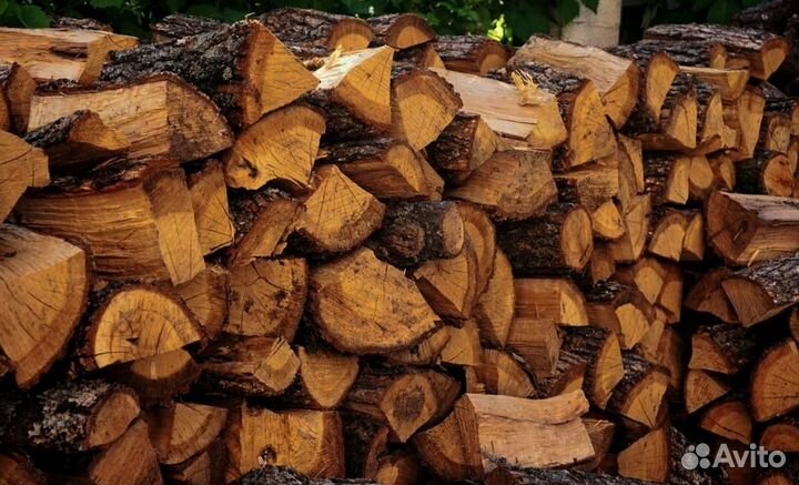 Дрова в область