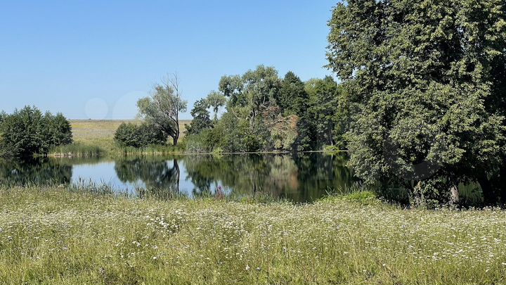 Участок 10 сот. (ИЖС)