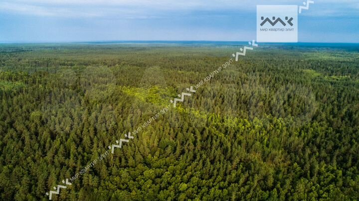 Участок 63,4 сот. (СНТ, ДНП)