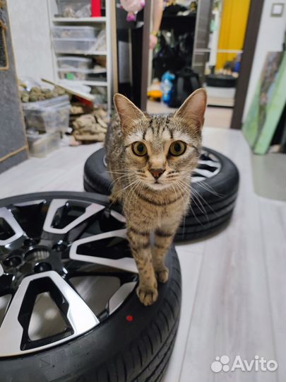 Колеса LADA Vesta NG R17 без пробега новые