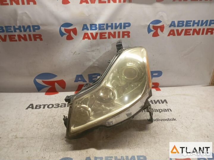 Фара передняя левая nissan fuga