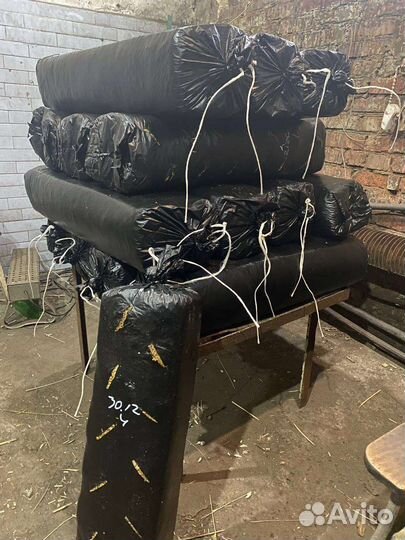 Готовый грибной бокс вешенки